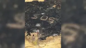 SOS em Chão Queimado: Marinheiro Resgatado em Ilha da Califórnia Após Incêndio Florestal Atingir Área Rara